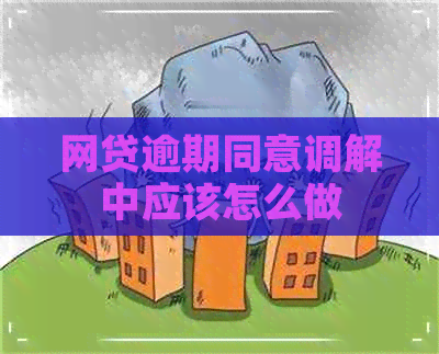 网贷逾期同意调解中应该怎么做