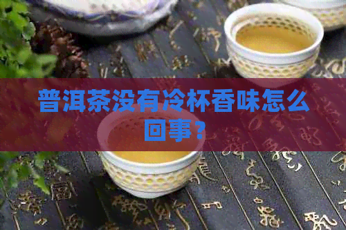 普洱茶没有冷杯香味怎么回事？