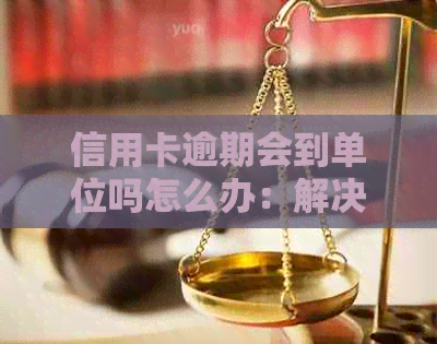 信用卡逾期会到单位吗怎么办：解决方法与影响分析