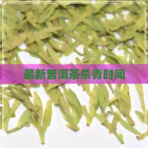 最新普洱茶杀青时间