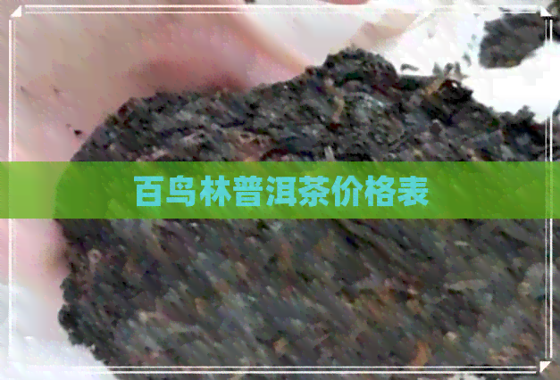 百鸟林普洱茶价格表