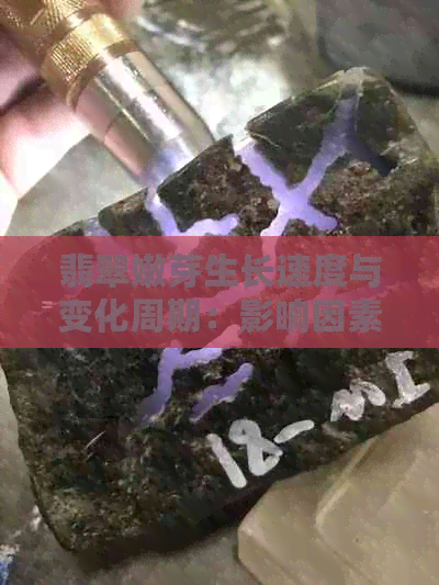 翡翠嫩芽生长速度与变化周期：影响因素探讨