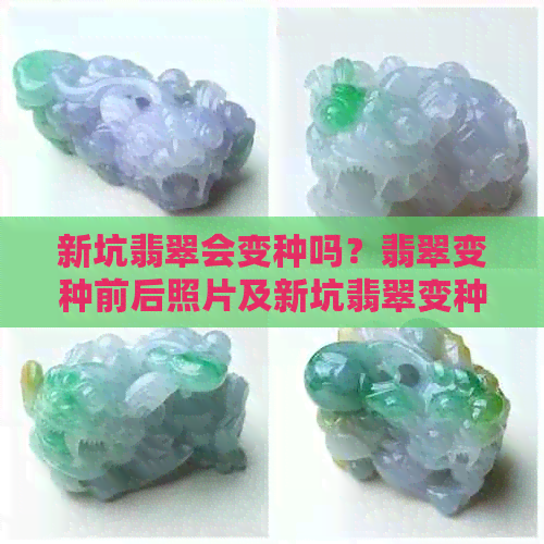 新坑翡翠会变种吗？翡翠变种前后照片及新坑翡翠变种原因揭秘