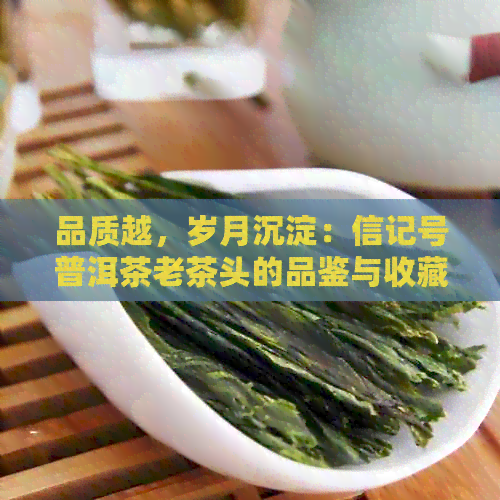 品质越，岁月沉淀：信记号普洱茶老茶头的品鉴与收藏价值分析