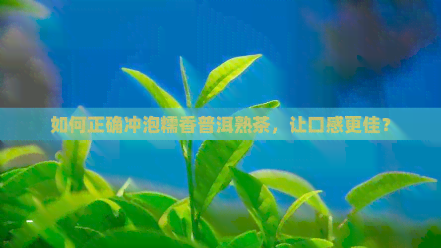 如何正确冲泡糯香普洱熟茶，让口感更佳？