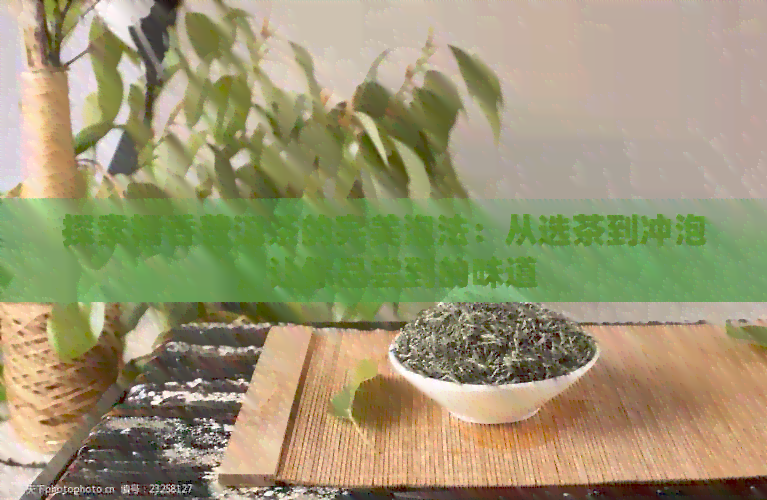 探索糯香普洱茶的完美泡法：从选茶到冲泡，让你品尝到的味道