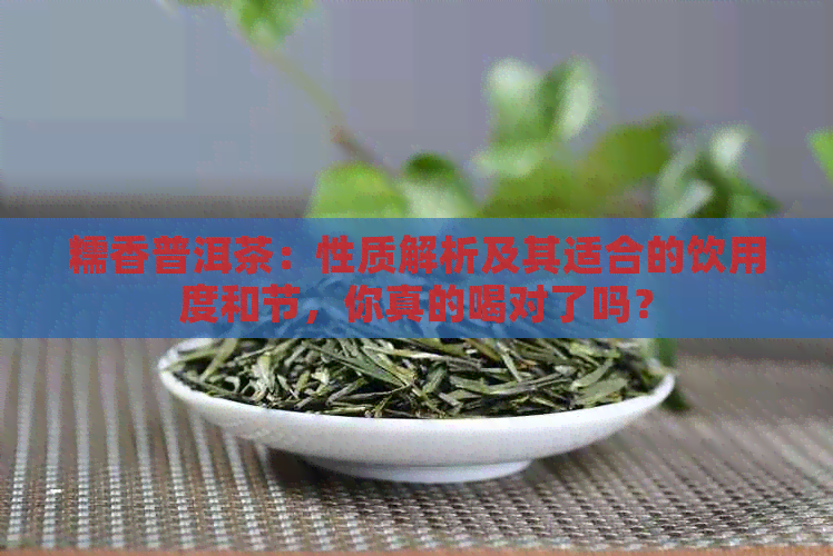 糯香普洱茶：性质解析及其适合的饮用度和节，你真的喝对了吗？