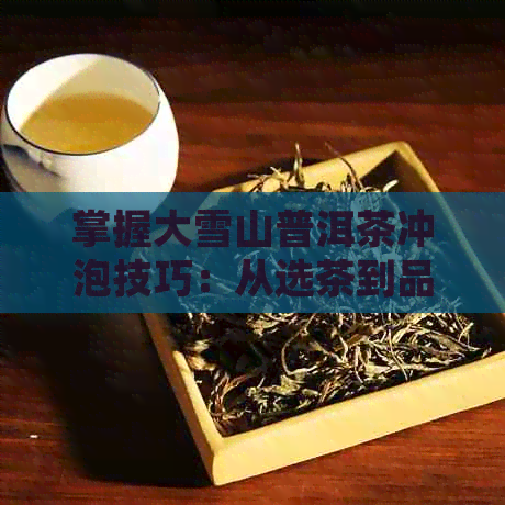 掌握大雪山普洱茶冲泡技巧：从选茶到品茗全方位解析