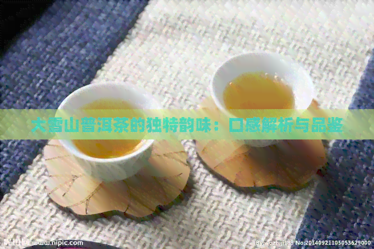 大雪山普洱茶的独特韵味：口感解析与品鉴