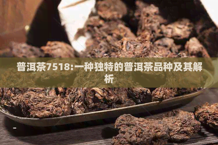 普洱茶7518:一种独特的普洱茶品种及其解析