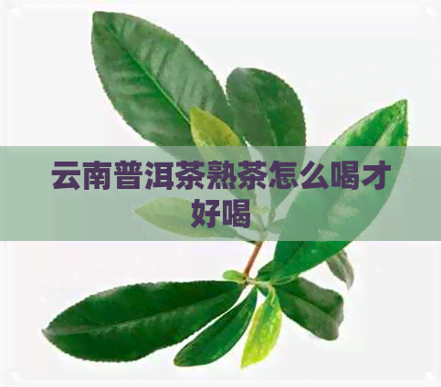 云南普洱茶熟茶怎么喝才好喝