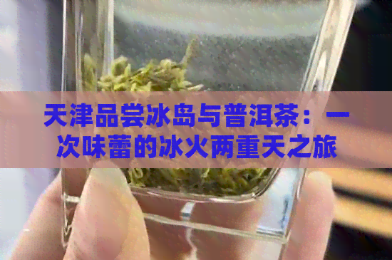 天津品尝冰岛与普洱茶：一次味蕾的冰火两重天之旅