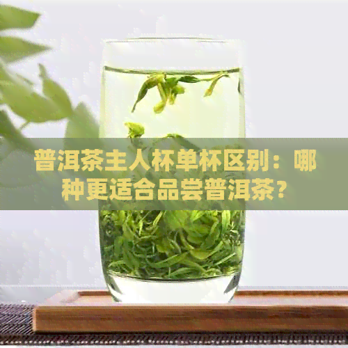 普洱茶主人杯单杯区别：哪种更适合品尝普洱茶？