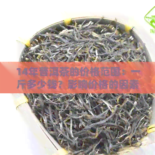 14年普洱茶的价格范围：一斤多少钱？影响价格的因素有哪些？