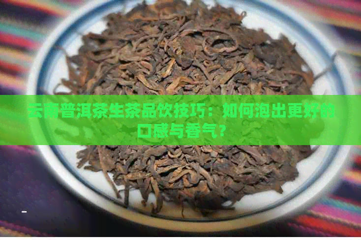 云南普洱茶生茶品饮技巧：如何泡出更好的口感与香气？