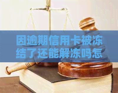 因逾期信用卡被冻结了还能解冻吗怎么办？