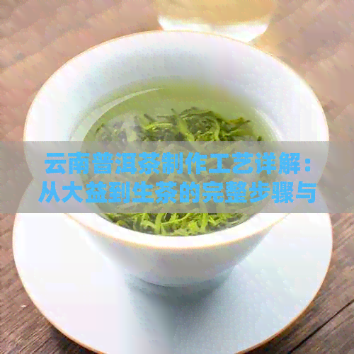 云南普洱茶制作工艺详解：从大益到生茶的完整步骤与流程