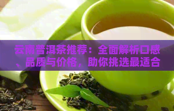 云南普洱茶推荐：全面解析口感、品质与价格，助你挑选最适合的茶叶