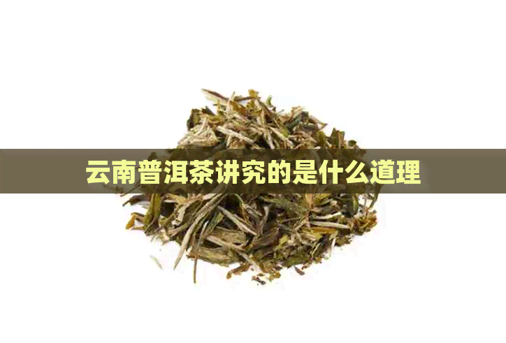 云南普洱茶讲究的是什么道理