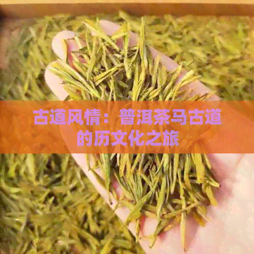 古道风情：普洱茶马古道的历文化之旅