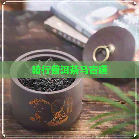 骑行普洱茶马古道