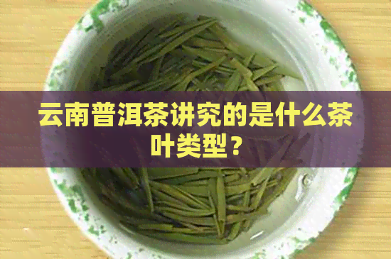 云南普洱茶讲究的是什么茶叶类型？