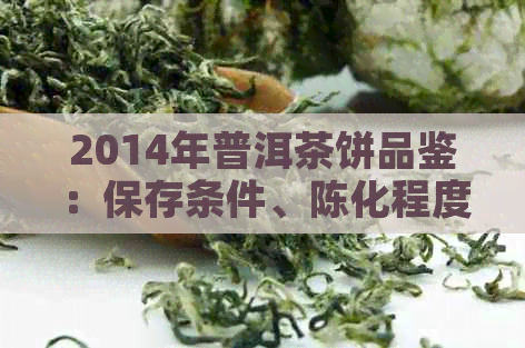 2014年普洱茶饼品鉴：保存条件、陈化程度和口感影响因素全面解析