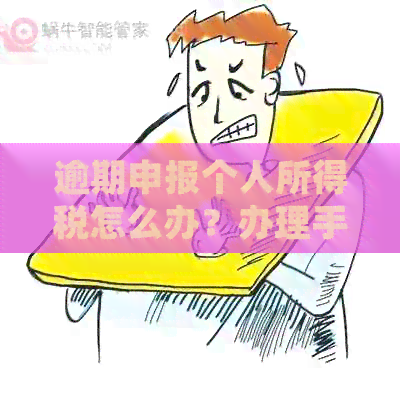 逾期申报个人所得税怎么办？办理手续及罚款政策全解析