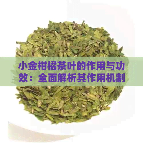 小金柑橘茶叶的作用与功效：全面解析其作用机制和健益处