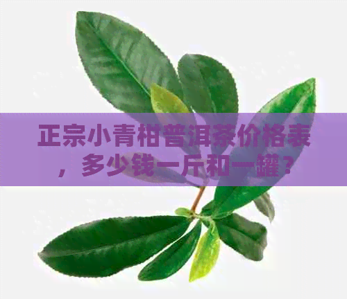 正宗小青柑普洱茶价格表，多少钱一斤和一罐？