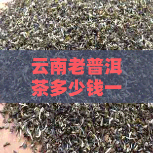 云南老普洱茶多少钱一斤价格表