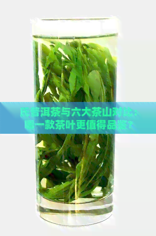 氏普洱茶与六大茶山对比：哪一款茶叶更值得品鉴？