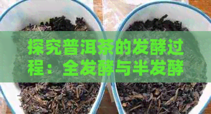 探究普洱茶的发酵过程：全发酵与半发酵的异同