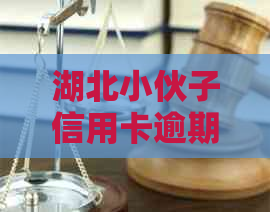 湖北小伙子信用卡逾期被抓：原因、后果及应对措详解