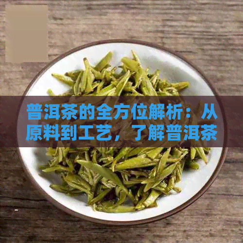 普洱茶的全方位解析：从原料到工艺，了解普洱茶的全部内容