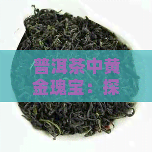 普洱茶中黄金瑰宝：探寻普洱茶的千年传承与珍品