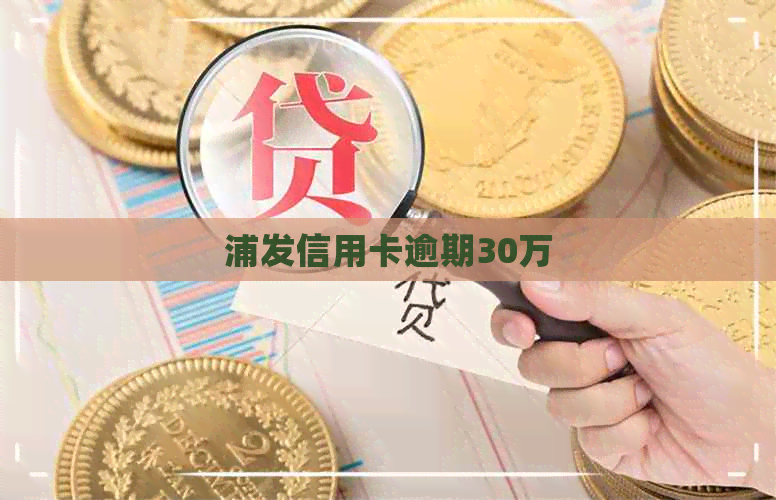 浦发信用卡逾期30万