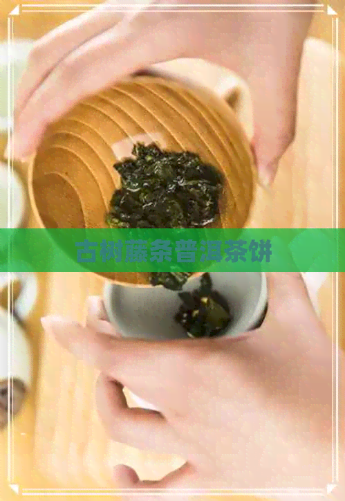 古树藤条普洱茶饼