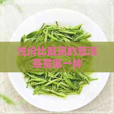 性价比更高的普洱茶是哪一种