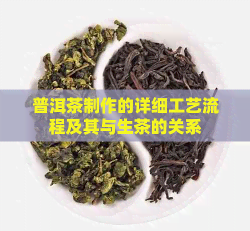 普洱茶制作的详细工艺流程及其与生茶的关系