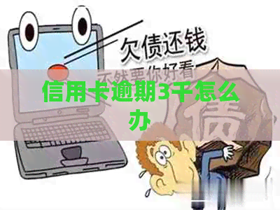 信用卡逾期3千怎么办