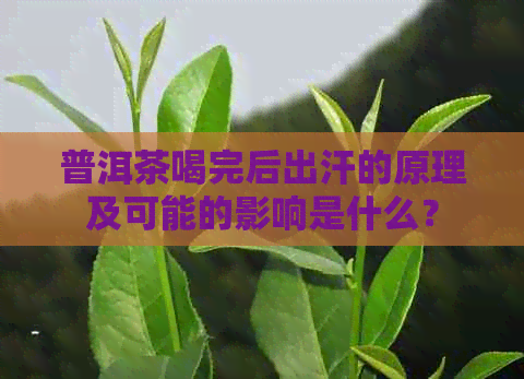 普洱茶喝完后出汗的原理及可能的影响是什么？