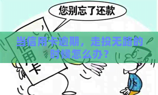 当信用卡逾期，走投无路的时候怎么办？