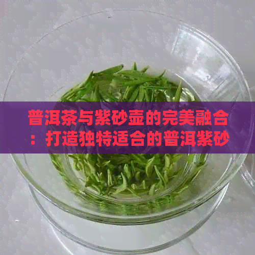 普洱茶与紫砂壶的完美融合：打造独特适合的普洱紫砂壶