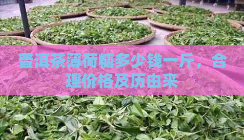 普洱茶薄荷糖多少钱一斤，合理价格及历由来