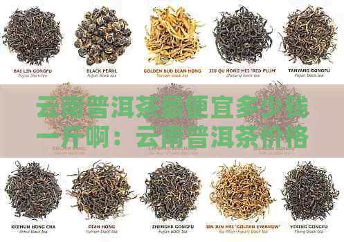 云南普洱茶更便宜多少钱一斤啊：云南普洱茶价格区间分析