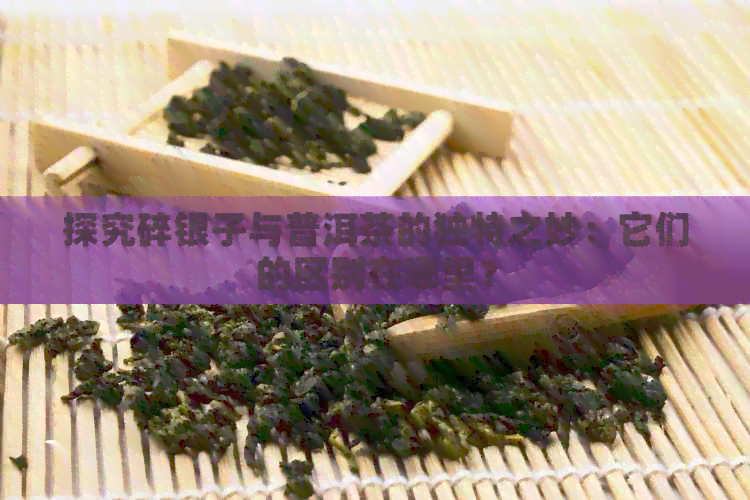 探究碎银子与普洱茶的独特之妙：它们的区别在哪里？