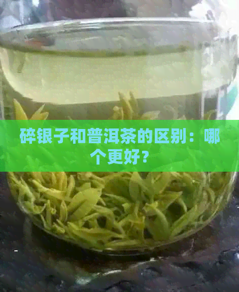 碎银子和普洱茶的区别：哪个更好？