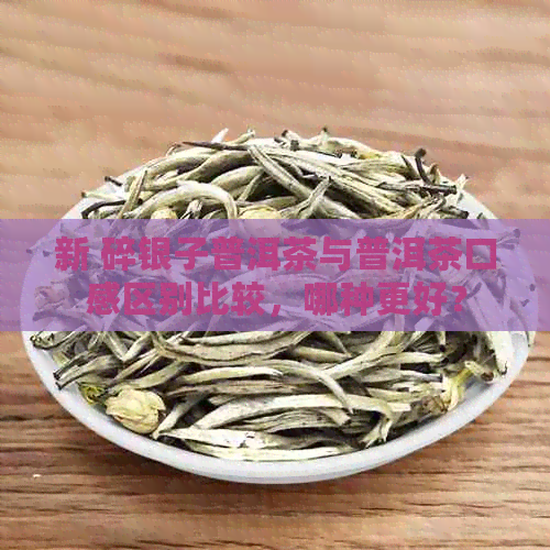 新 碎银子普洱茶与普洱茶口感区别比较，哪种更好？