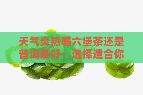 天气炎热喝六堡茶还是普洱茶好：选择适合你的茶叶